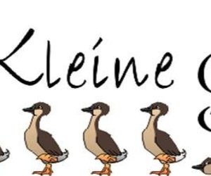 Gansies doen dit weer!